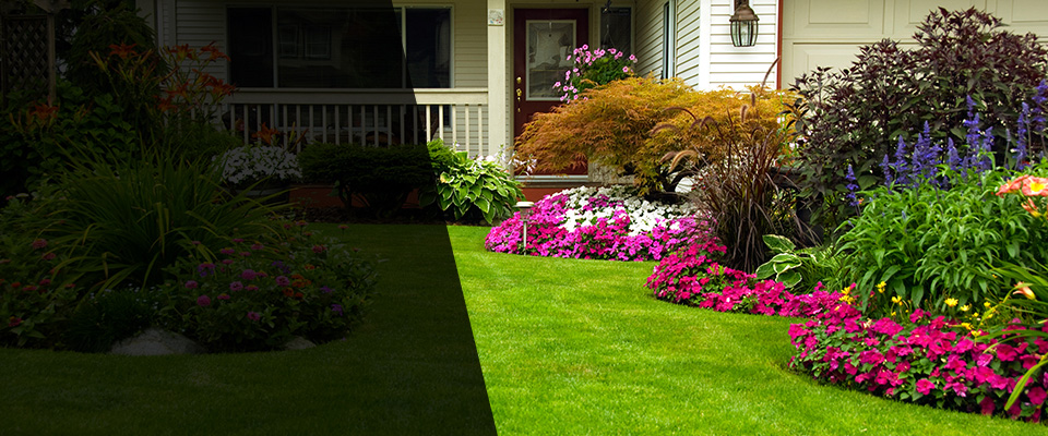Saltillo Landscapers