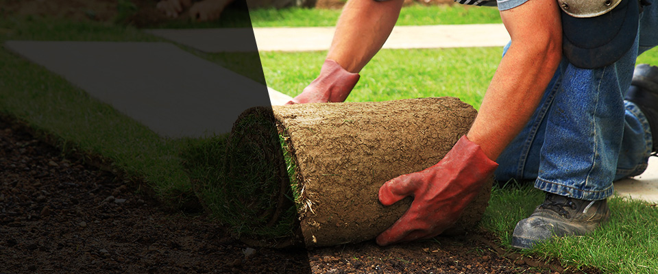 Saltillo Landscapers